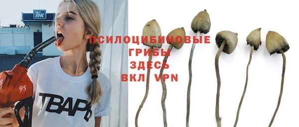 МДПВ Аркадак