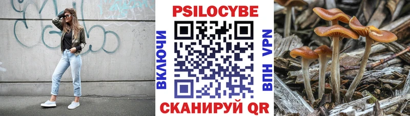 дарк нет как зайти  Мариинский Посад  Псилоцибиновые грибы мухоморы 